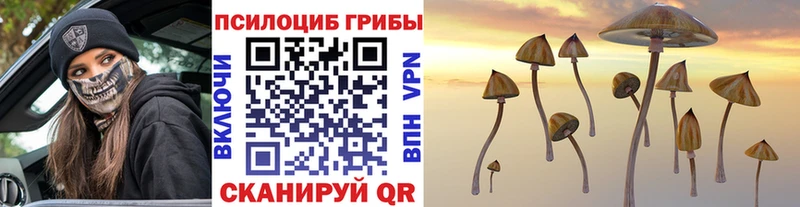 Галлюциногенные грибы ЛСД  Купить где  Самара 